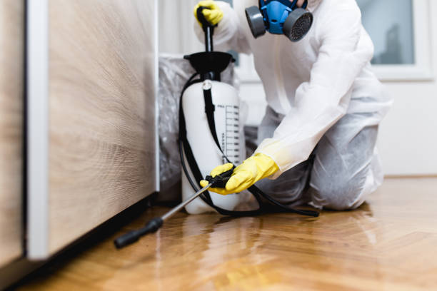 Best Wasp Removal Services  in Alexandria, LA