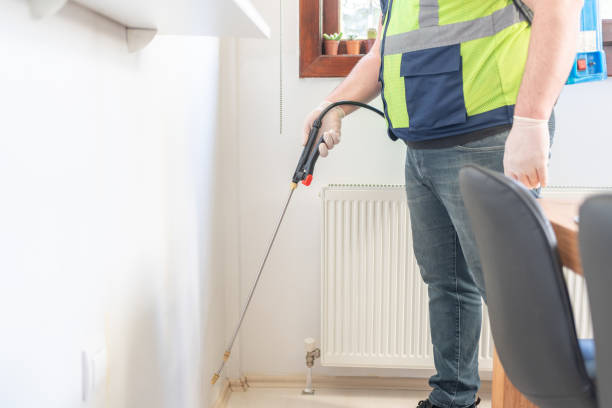 Best Rat Extermination Near Me  in Alexandria, LA