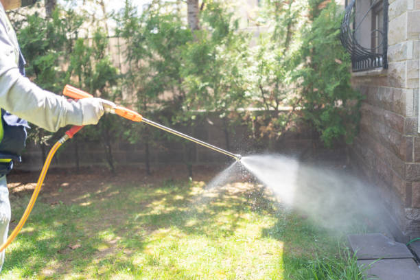Best Rodent Control Near Me  in Alexandria, LA