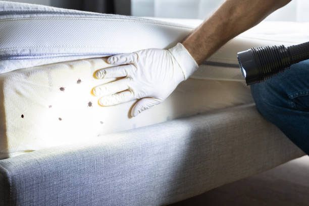Best Pest Control Treatment  in Alexandria, LA