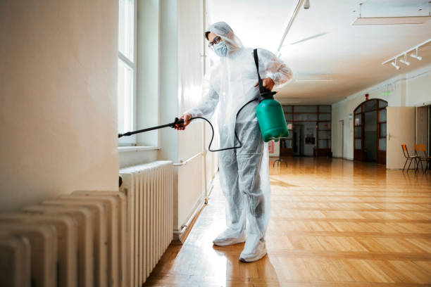 Best Mosquito Control Services  in Alexandria, LA