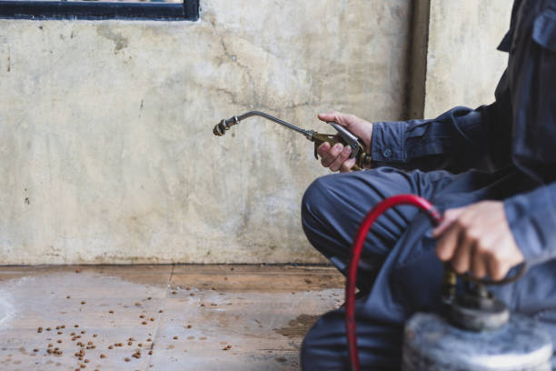 Best Emergency Pest Control  in Alexandria, LA